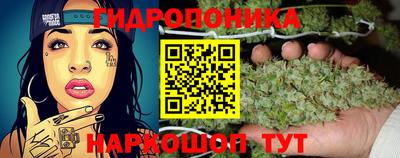 амф Обь