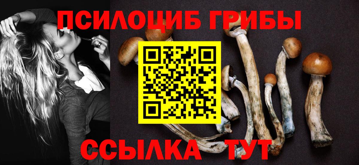 Альфа ПВП Семилуки